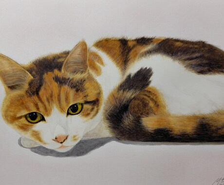 猫ちゃん専門！リアル手描き水彩の肖像画ですます 渾身丁寧に描き込む透明水彩画による唯一の原画をお届けします イメージ2