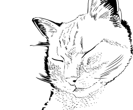 白黒イラスト描きます 風景・動物・機械・シンプルなキャラクターなど イメージ2
