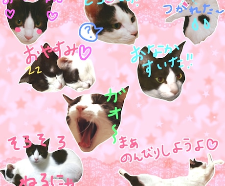 好きな写真でLINEスタンプお作りします ペットやお子様ご家族様ご友人とのお写真etcにいかがですか？ イメージ1