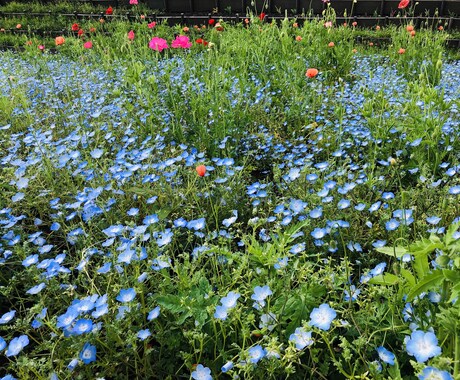 恋愛？人間関係？あなたのお悩み一緒に解決します 元メンヘラちゃんによる相談ルームへようこそ♡ イメージ1