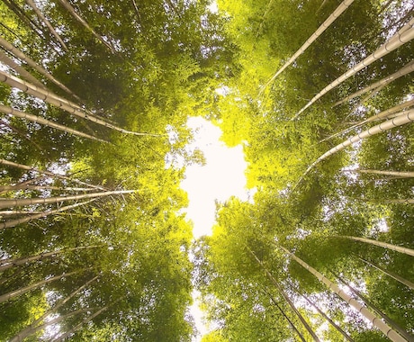 生年月日不要✨霊感・霊視鑑定をお電話でいたします ✨人生好転！自分らしく生きるためのカウンセリング✨ イメージ2