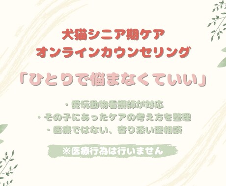大切なその子と向き合う シニア期ケア相談をします その子のために頑張るあなたの、心を整える時間 イメージ1