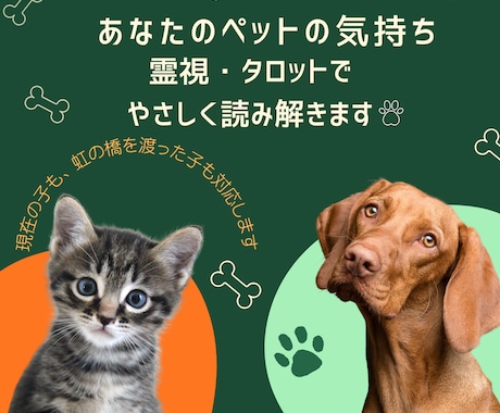 ペットの気持ちを霊視・タロットで読み解きます 言葉にできない“あの子”の本音、届けます イメージ1