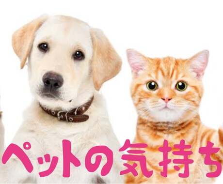 あなたの家族でもあるペットの気持ちを視ます キミは何を思っているの？幸せ？ イメージ1