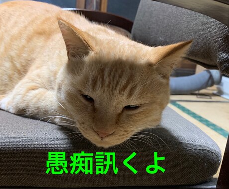 あなたの愚痴を訊いた上で、あなたを褒めます あなたの自己肯定感を上げたい！ イメージ1
