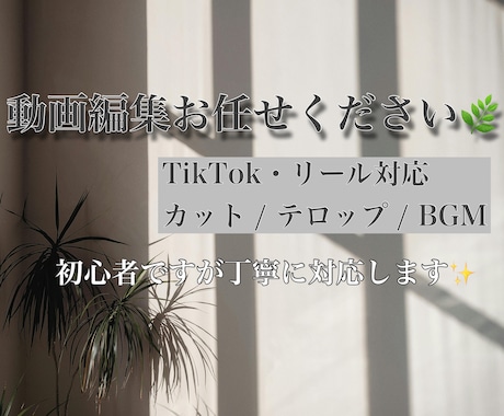 TikTok動画編集｜初心者ですが丁寧に対応します やさしく見やすい動画を丁寧に仕上げます イメージ1