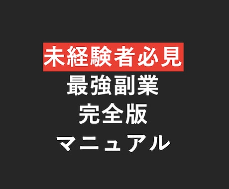 未経験者からでも始められる副業マニュアル教えます 副業未経験でも安心。30P以上のPDFで丁寧に作業解説します イメージ1