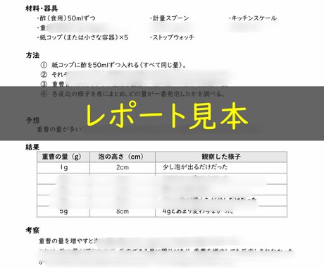 自由研究の進め方・レポートの書き方サポートます 実験の進め方と書く手順をやさしく解説 イメージ2