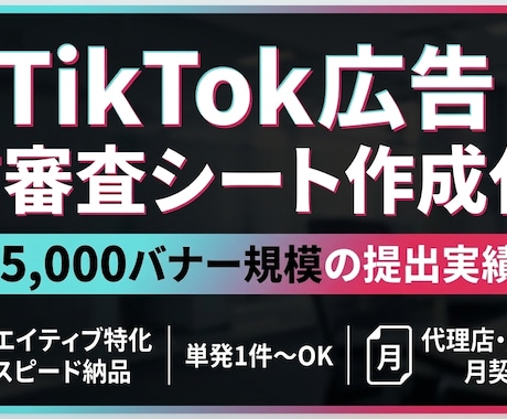 TikTok広告の事前審査シート作成を代行します 月5000件の実績！TikTok 事前審査シート作成を代行 イメージ1