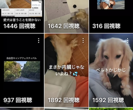 即納！YouTubeやインスタの動画を作ります お客様からいただいた動画やBGMを使って1分動画を作ります。 イメージ1