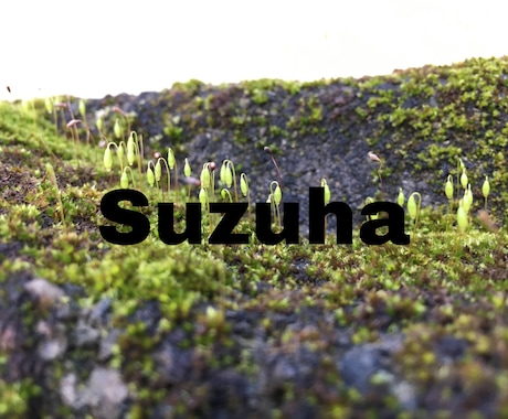 商品の撮影、自然の撮影、小物の撮影致します 1カット3000円 購入後どのように使用しても◎ イメージ2