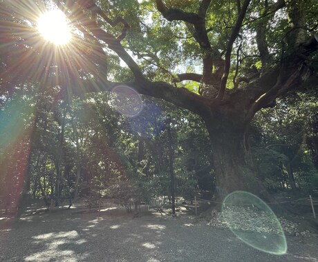 誰にも話をする事ができない時、私が聞きます 心のモヤモヤを吐き出し新たな一歩を踏み出そう イメージ2