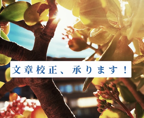 現代文から古典文まで文章校正いたします 細部まできちんと対応！誠実に取り組ませて頂きます！ イメージ1