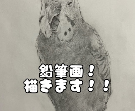 鉛筆画を描きます あなたの日常を絵にして記録してみませんか イメージ1