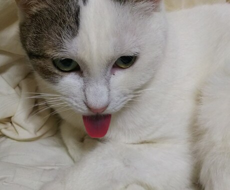 作品のキャッチコピーを考えたり名前をつけたりします イメージ1