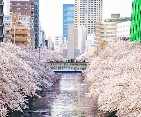 愛媛県ご希望の場所で写真撮影代行します プロのクオリティを格安でご提供します イメージ2