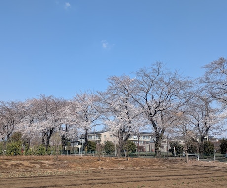 とにかく、お話、伺います 心に余裕がない、モヤモヤしているお話、聞かせてください イメージ2