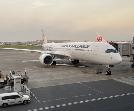 航空業界を目指す方の相談に乗ります CA・グランドスタッフになりたい方集まれ〜！！！ イメージ1