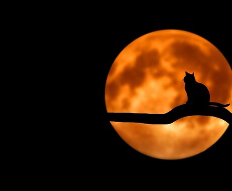 夜眠れない時の話し相手になります たわいもない事から真面目な話までなんでも話しましょう！ イメージ1