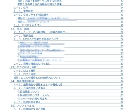 Googleマイビジネスの診断＆レポート発行します MEO対策マニュアル＆ビジネスプロフィールの改善点を個別指南 イメージ2