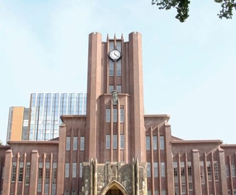 東大医学部卒 勉強の仕方おしえます 成績をアップさせたい、小中高生。塾とこれでグングン上がる！ イメージ1