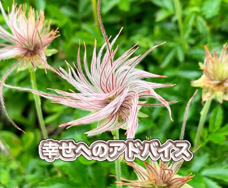 幸せになる為の数字のツールをお知らせ致します 更にルノルマンやタロット78枚からもメッセージ頂きます イメージ1