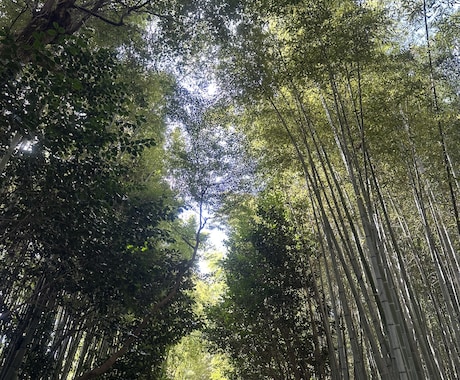 誰にも言えないお悩み。じっくりお話しお聞きします 家族や友達には相談できない、でも話を聞いて欲しい！ イメージ1