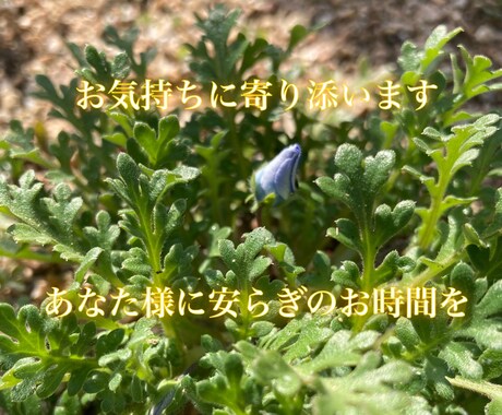 お気持ちお聞かせください。お待ちしております ◎なんとなく誰がと繋がりたい時ってありますよね。 イメージ1