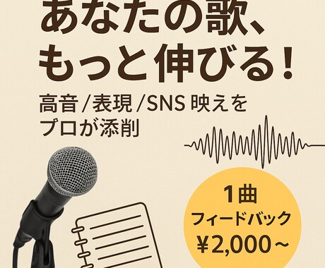 音楽専門学校講師が本気で歌フィードバックします 300人以上の指導経験からあなたの歌、見つけます！ イメージ1
