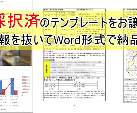 小規模事業者持続化補助金、採択申請書をお譲りします 現役事務局職員が作成した小規模事業者持続化補助金の申請書です イメージ1