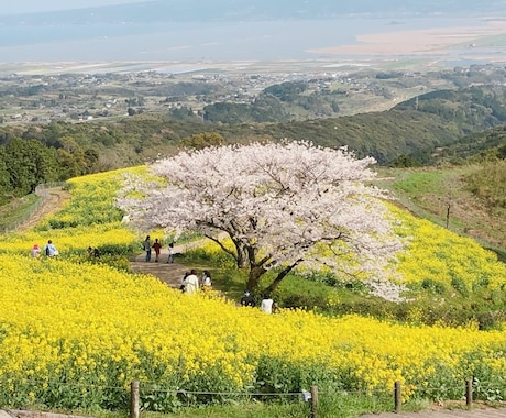 好きな人の気持ちを理解するとは？恋心を解決します 心理カウンセラーが悲しみ、不安、苦しさ、辛さに寄り添います イメージ1