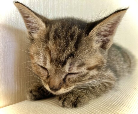 お話(なんでも)や愚痴聞きます 夜中限定!少しでも気持ちが軽くなっていただければ幸いです♪ イメージ1