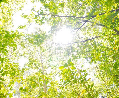 お話を聞きます 解決のお手伝いだいになれば幸いです。 イメージ1