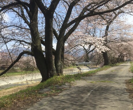 貴方のお話しをなんでも♪ すべてお聞きします 心のうちにある悩み事、愚痴などなんでも聞きます イメージ1