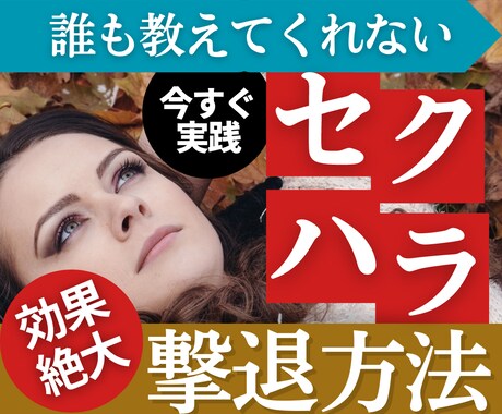 目から鱗！セクハラに悩んでいる人に対処法を教えます 簡単な知識を身につけるだけで法的証拠を集められるノウハウ集！ イメージ1