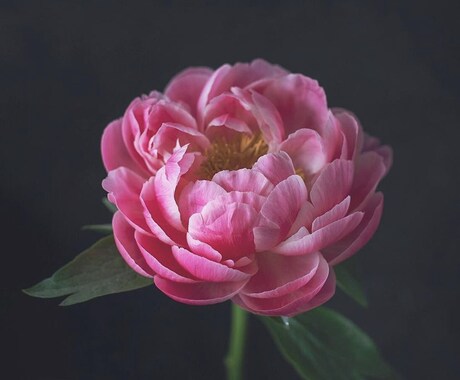 次の恋のお相手との出会いを見ます いつ頃どんな相手との未来、、、♡ イメージ1
