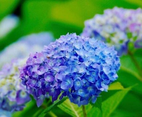 貴方が抱えているお悩み解決します どんなことでも大丈夫！小さな悩み事でも構いません！ イメージ1
