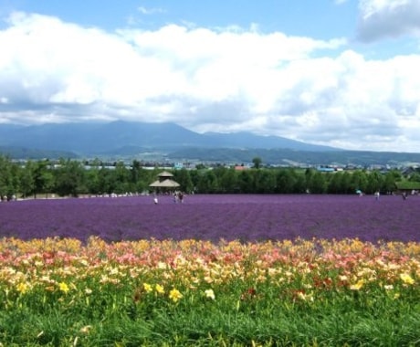 北の国から富良野市の正確な現在気温を調べます。 イメージ1