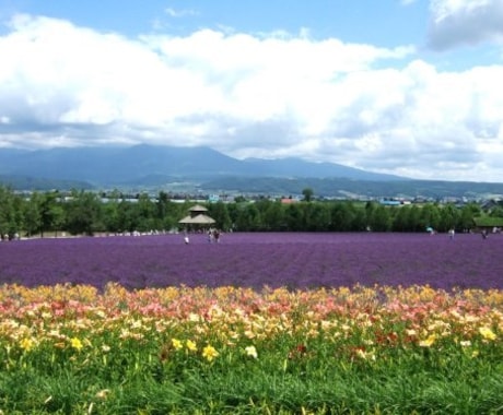 北の国から富良野市の正確な現在気温を調べます。 イメージ1