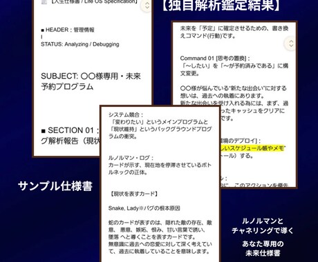 独自解析鑑定｜あなただけの未来の仕様書作成します ルノルマンとチャネリングで導く、あなた専用の戦略的取り扱い書 イメージ2