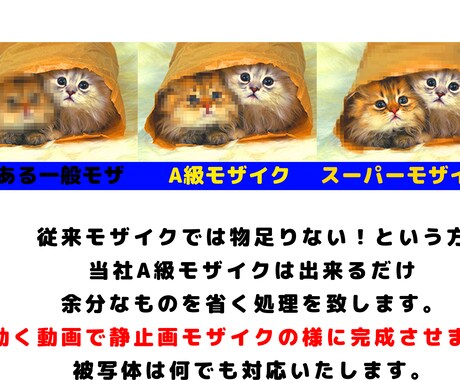 一般モザイク！！プロがさっとモザイクかけます モザだけでなく他の絵に置き換えれます。15分1500yen イメージ1