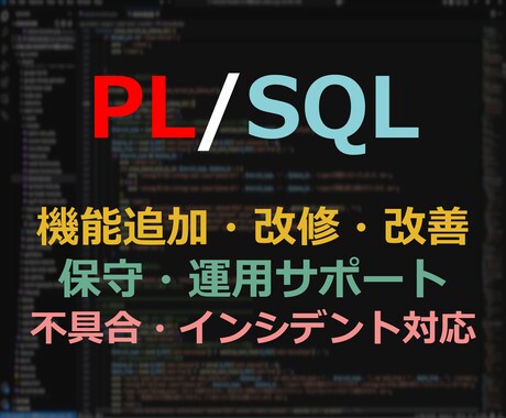 PL/SQLを用いた機能改修、保守を担当します 【経験豊富なシステムエンジニアが対応】 イメージ1