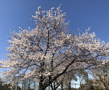 スケジュール管理方法をお教えします あなたの時間を有効活用出来るスケジュール帳を個別に作成します イメージ2