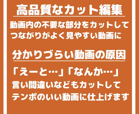 伝わる動画制作｜分かりやすい内容の制作をします 簡潔・伝わる内容に特化！長時間の動画でもスムーズに編集！ イメージ2