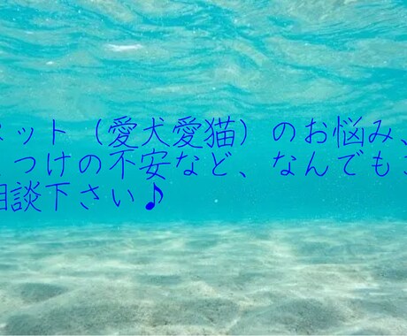 愛犬の日常雑談、お悩み相談乗ります 愛犬のしつけや病気の不安など体験を元にお話します！ イメージ1