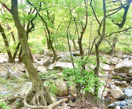 風景写真の写真提供を行います 韓国在住の私が韓国でしか撮れない風景写真を提供します！ イメージ1