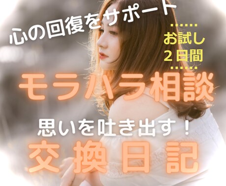 お試し / モラハラされた心の修復をサポートします あなたは悪くない  モラハラ相談・交換日記 ~ ライト２日間 イメージ1
