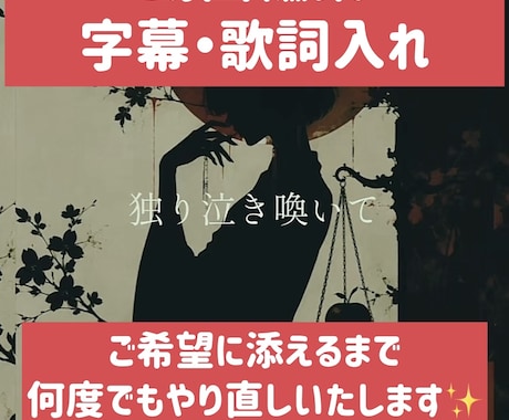 ショート動画等字幕・歌詞入れます YouTubeやTikTok動画に字幕を入れます。 イメージ1