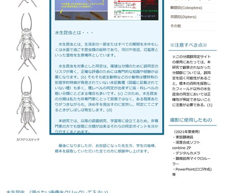 HTML、CSSコーディングできます 対象に合わせたサイト構築を目指します。 イメージ2