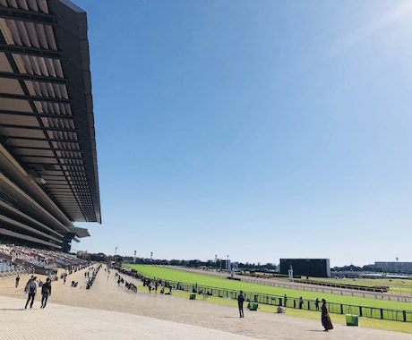 初心者向け競馬の予想方法、楽しみ方を教えます 競馬初心者の方  また競馬が好きな方！ イメージ1